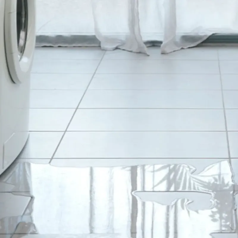 Appliance Leak Cleanup in Bardwell, KY