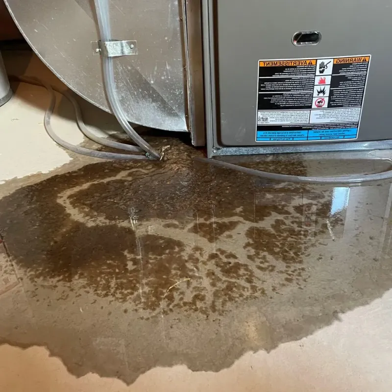 Pipe Burst and Leak Restoration in Bardwell, KY